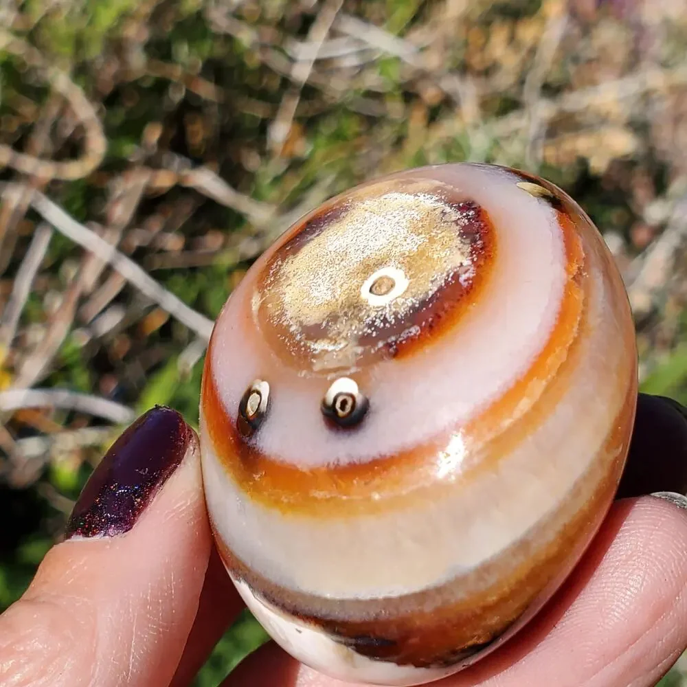 Eyes on Back Orca Agate Carnelian Stone Crystal UNIQUE Palmstone 180 grams
